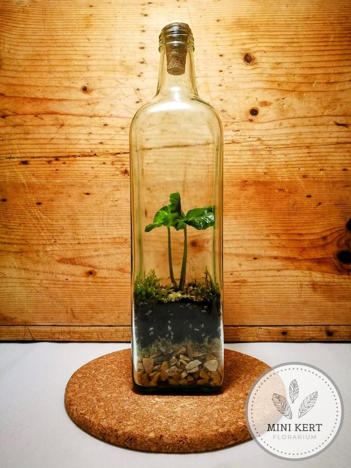Szörpösüveg palackkert