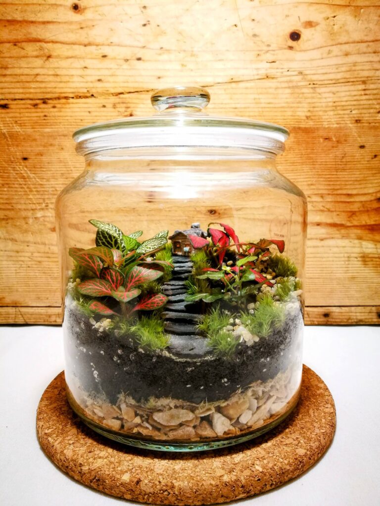 Zárt üvegtetős florárium házikóval