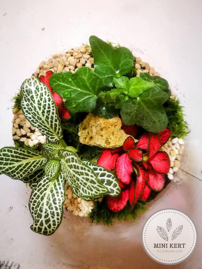 Álló dunsztosüveg florárium 2 literes