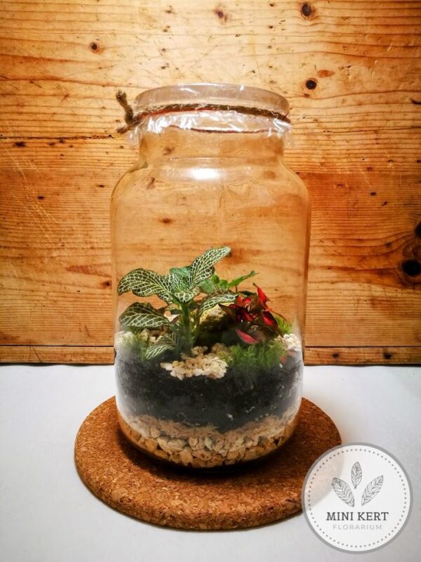 Álló dunsztosüveg florárium 2 literes