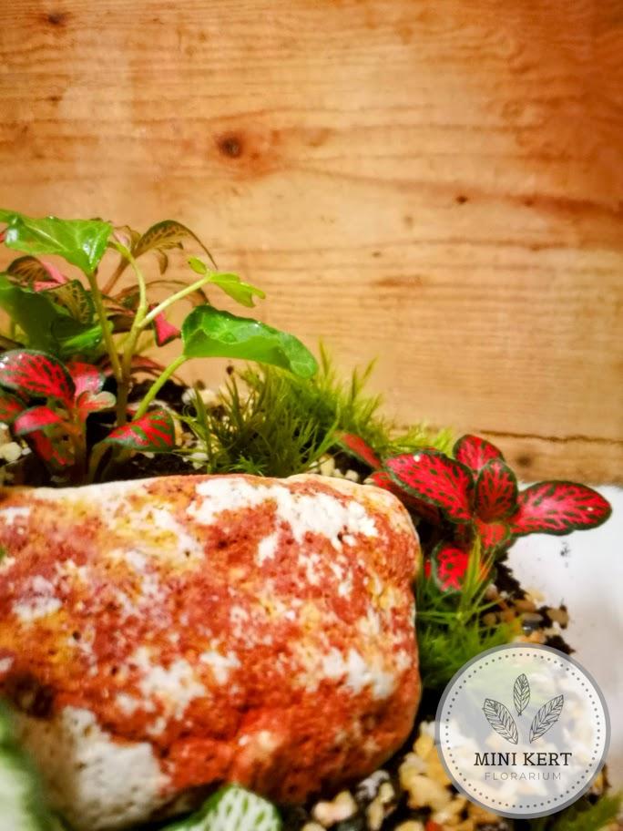 Fekvő dunsztosüveg florárium 4,25 literes