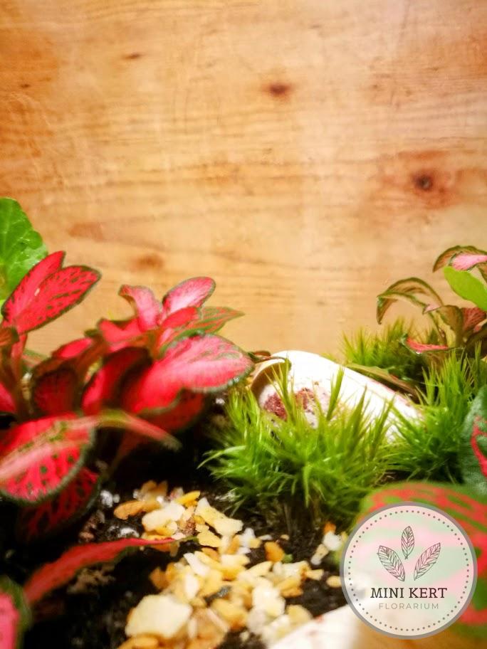 Fekvő dunsztosüveg florárium 4,25 literes