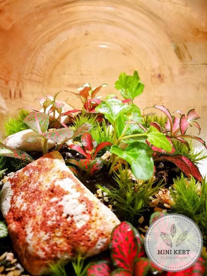 Fekvő dunsztosüveg florárium 4,25 literes
