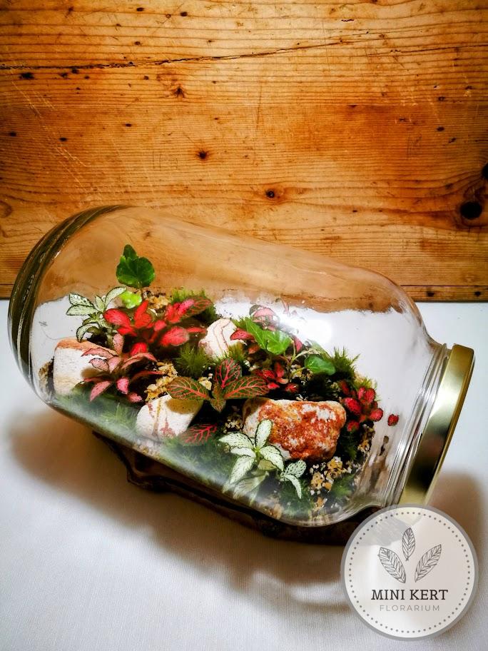 Fekvő dunsztosüveg florárium 4,25 literes