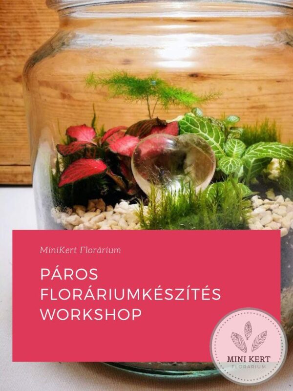 PÁROS florárium készítés workshop