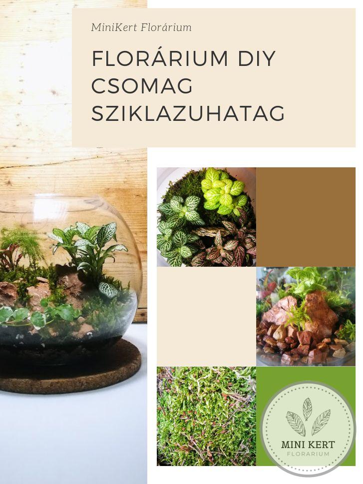 Florárium DIY csomag "Sziklazuhatag"