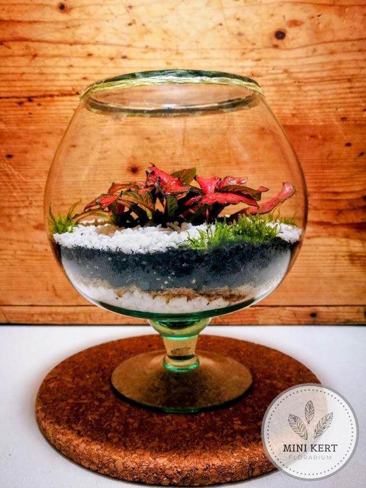 Talpaspohár florárium