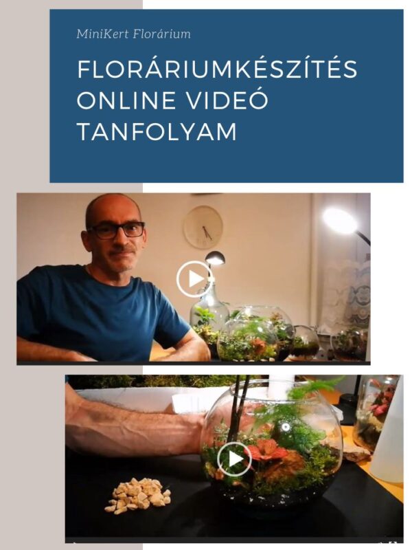 floráriumkészítés online videó tanfolyam