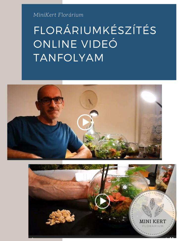 floráriumkészítés online videó tanfolyam