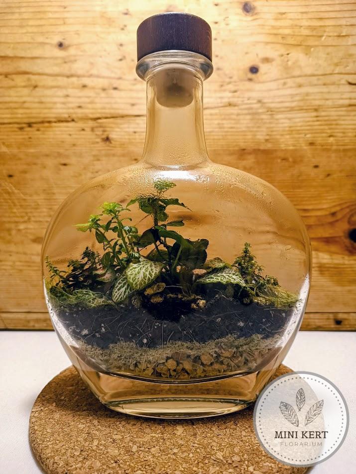 Egyedi üveg florárium