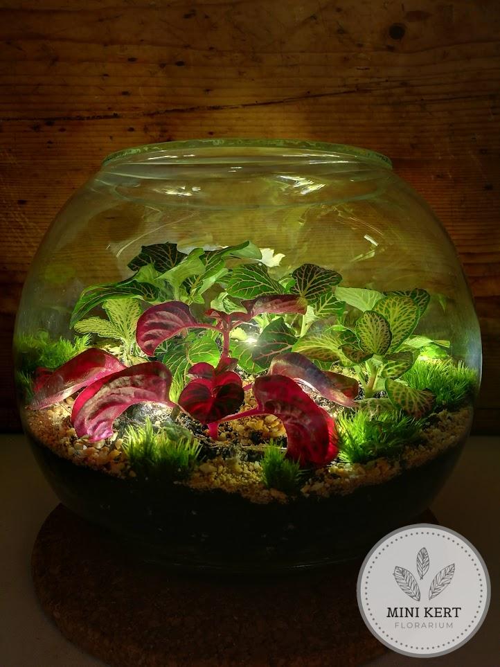 Üveggömb florárium 25 cm-es, LED fényfüzérrel
