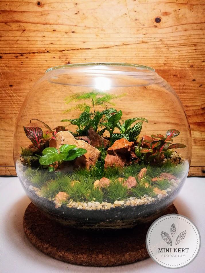 Üveggömb florárium - "Sziklazuhatag"