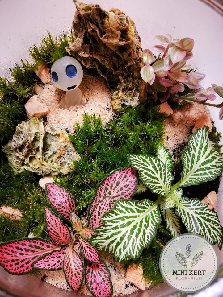 Zárt üvegtetős florárium "Szellem" - Image 3