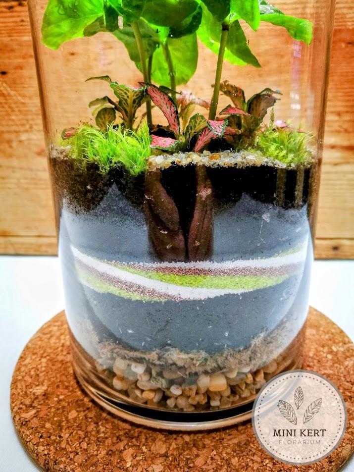Magas üveghenger florárium csíkozás