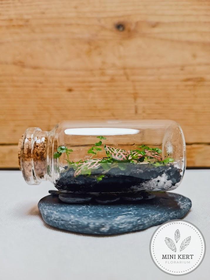 Mini fekvő üvegcse florárium