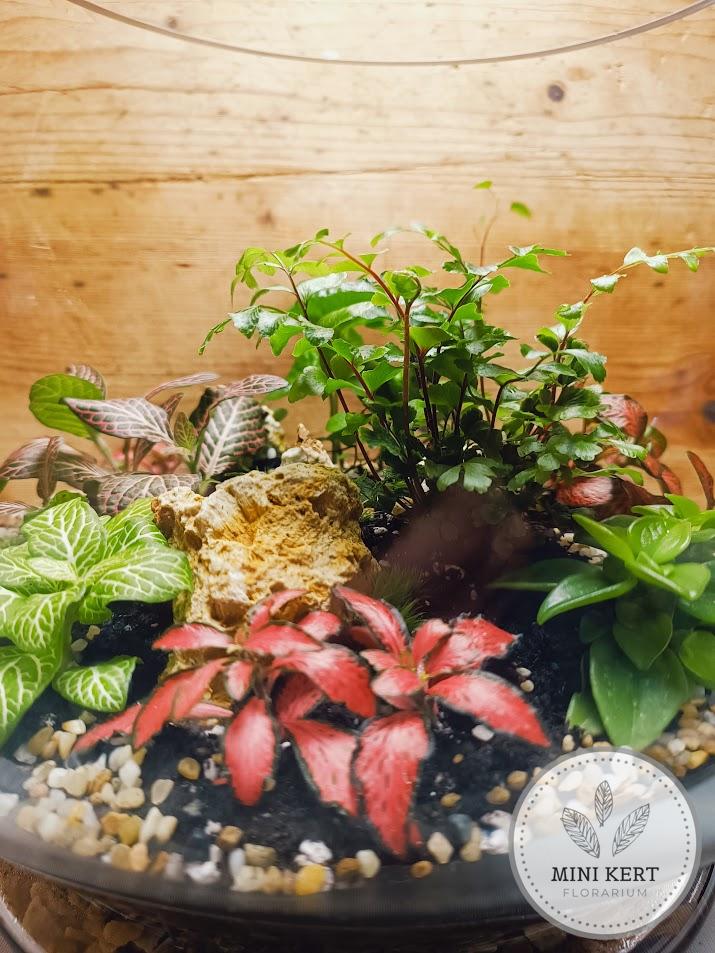 Óriás talpas üveggömb florárium 33 cm - Image 4