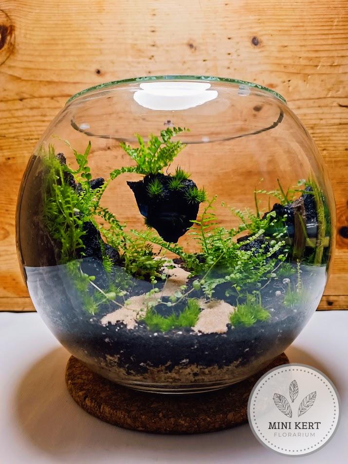 üveggömb florárium lebegő lávakő sziklával