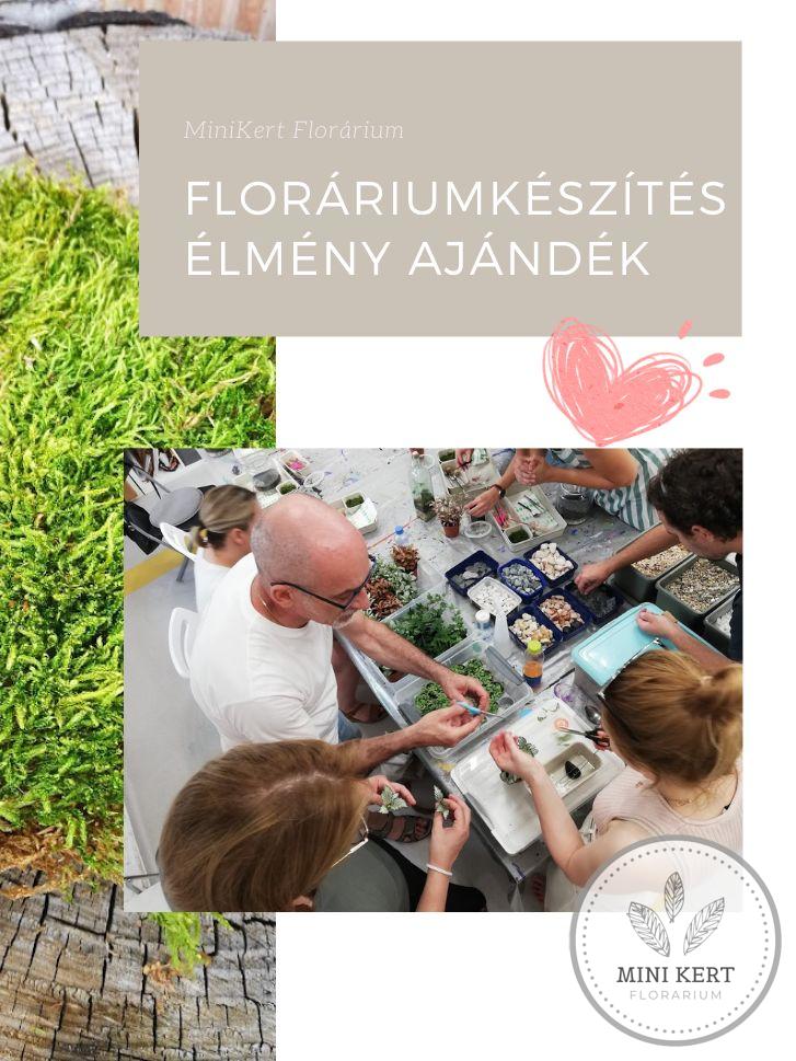 ÉLMÉNY AJÁNDÉK floráriumkészítés workshop