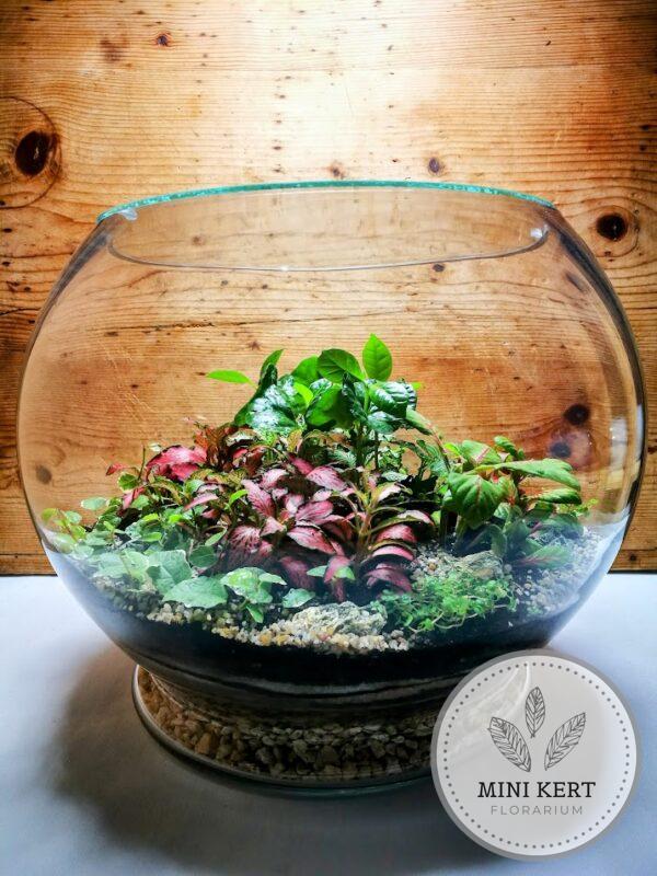 Óriás talpas üveggömb florárium 33 cm
