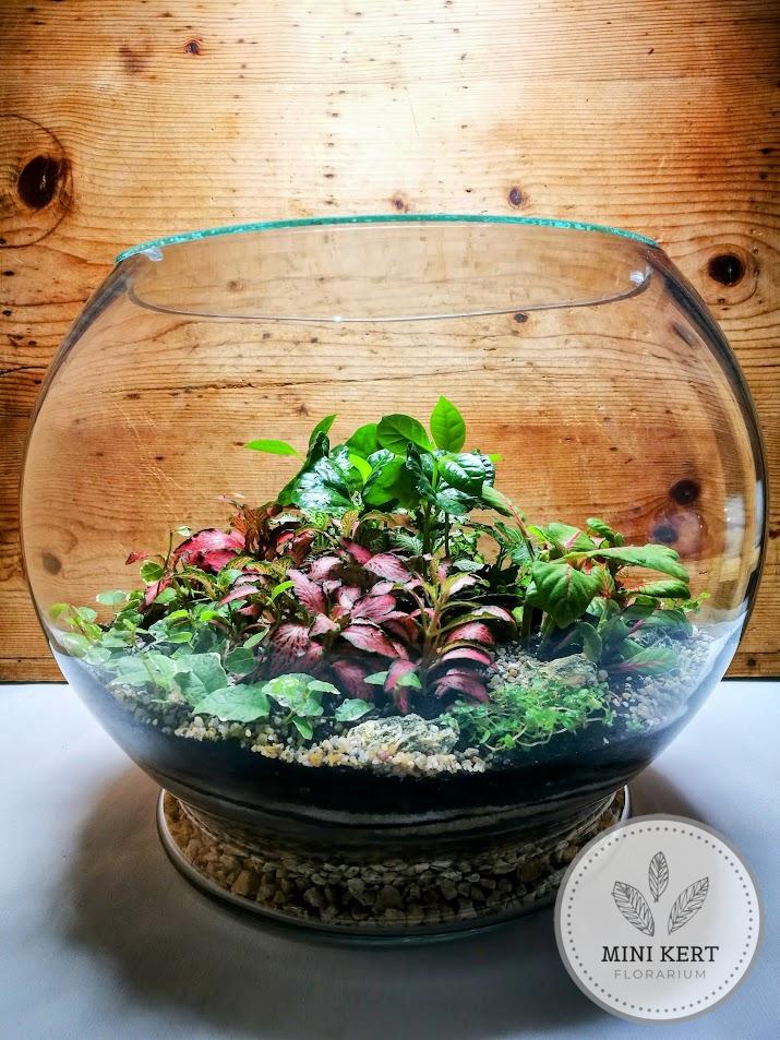 Óriás talpas üveggömb florárium 33 cm