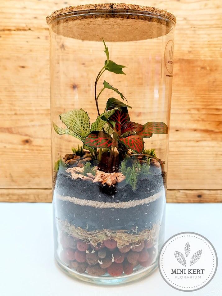 Parafatetős üveghenger florárium agyaggolyókkal