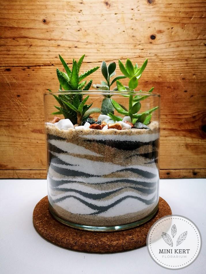 Pozsgás üveghenger florárium különleges csíkozással
