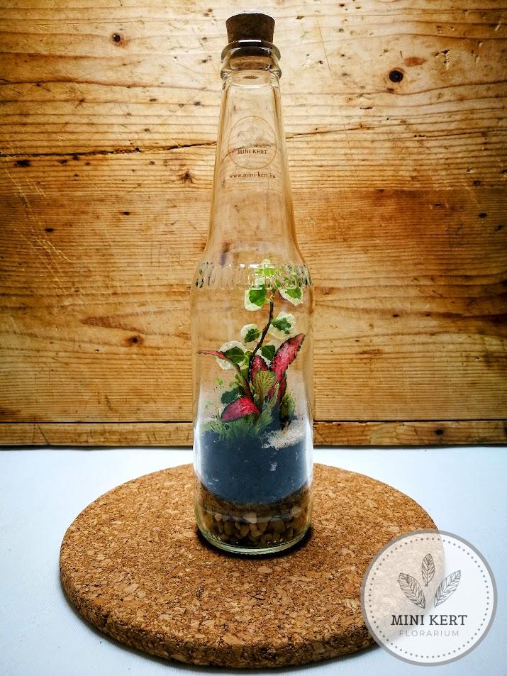 Almaboros palackert florárium