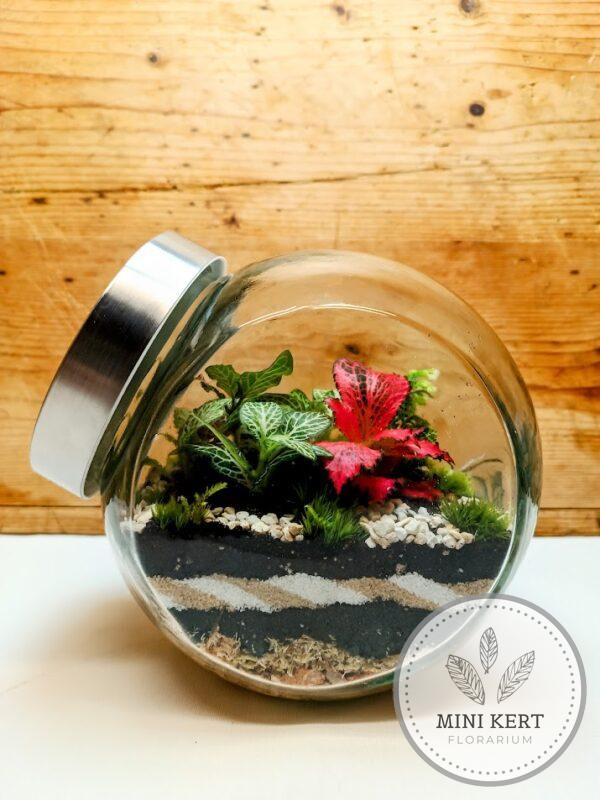 Döntött, zárt üvegtartály florárium 2L