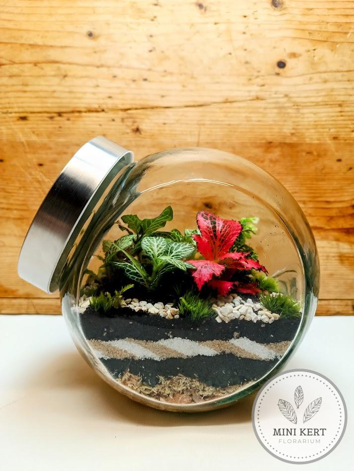 Döntött, zárt üvegtartály florárium 2L