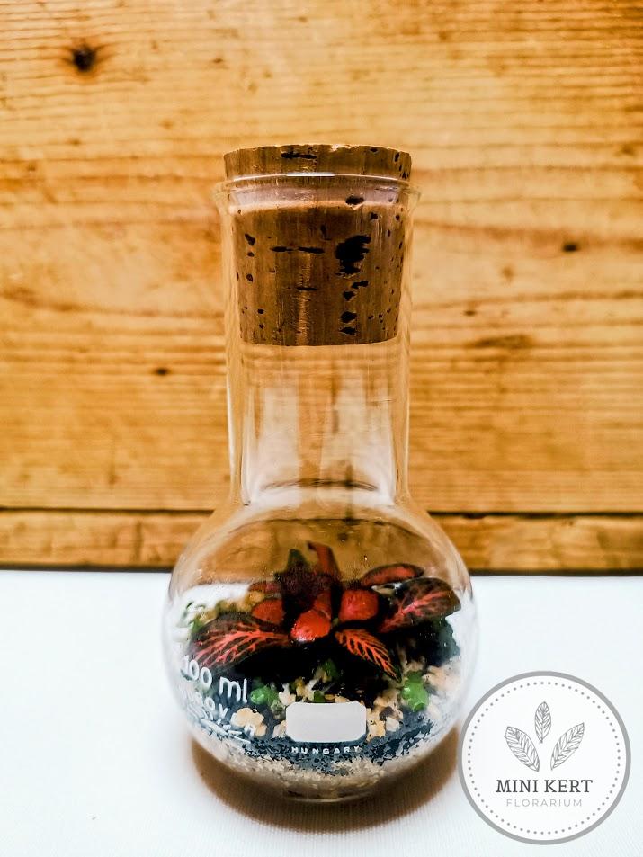 Mini lombik florárium