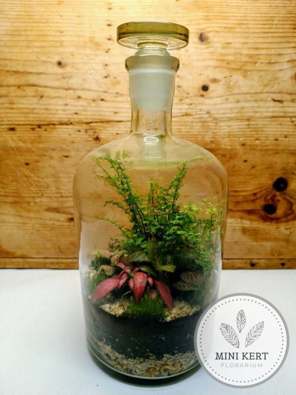 Patikai csiszoltdugós üveg palackkert XXL