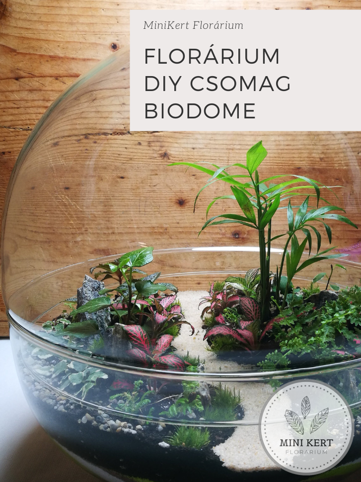 Csináld magad Biodome florárium