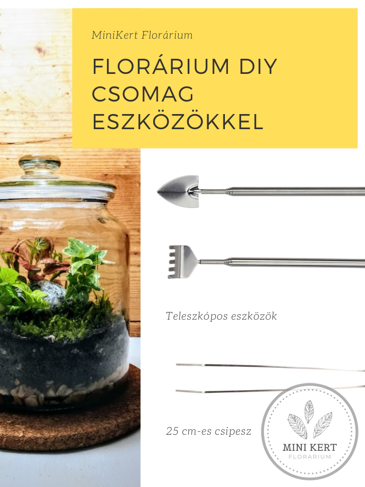 Florárium DIY szett eszközökkel