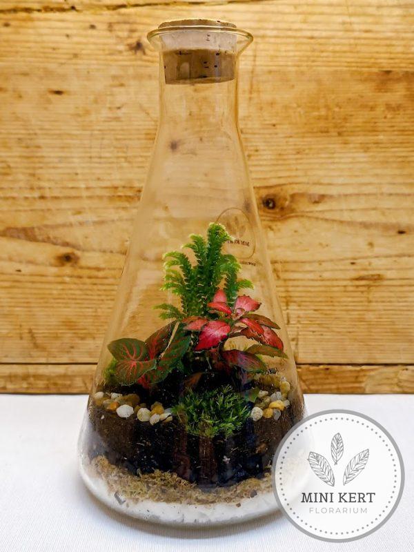 Erlenmeyer lombik florárium