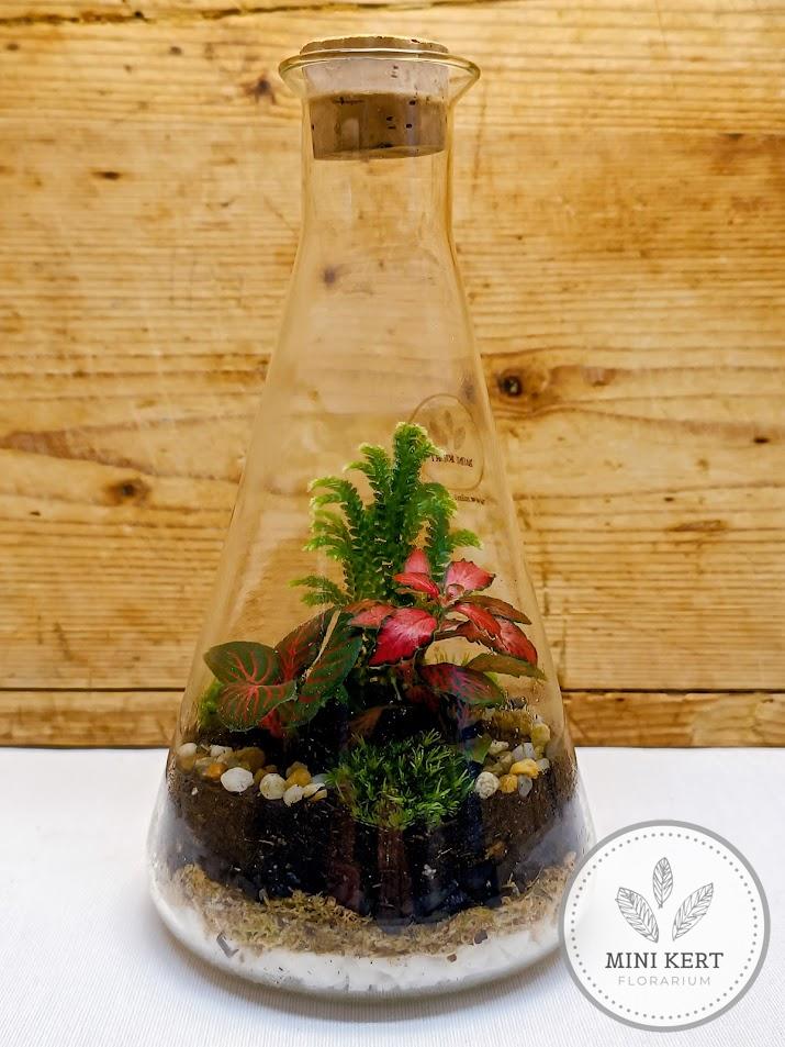 Erlenmeyer lombik florárium