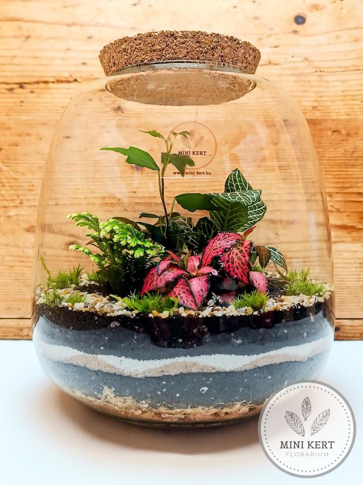 Gömbölyített formájú florárium