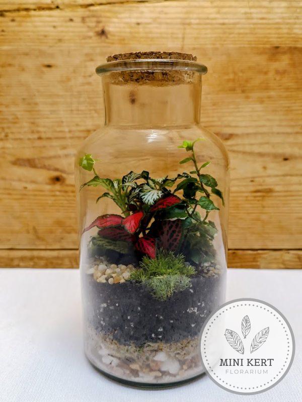 Parafadugós üvegtartály florárium