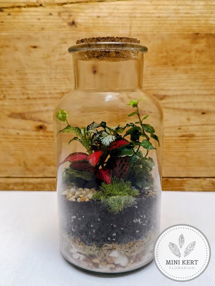 Parafadugós üvegtartály florárium