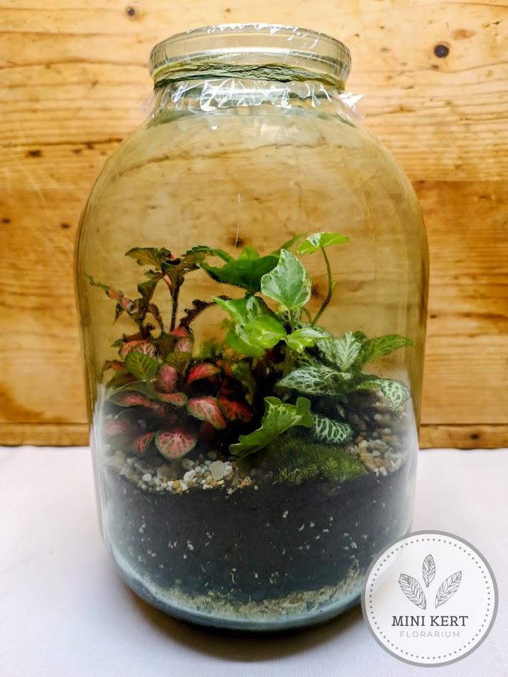 Álló dunsztosüveg florárium 2 literes