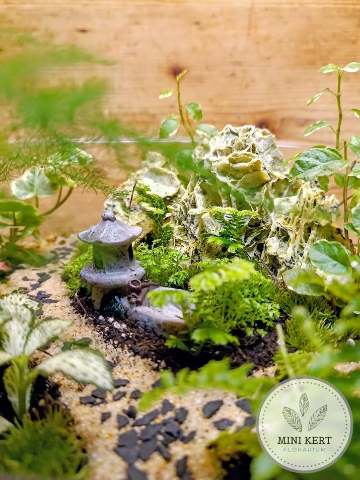 Biodome florárium Japánkert mécsestartó