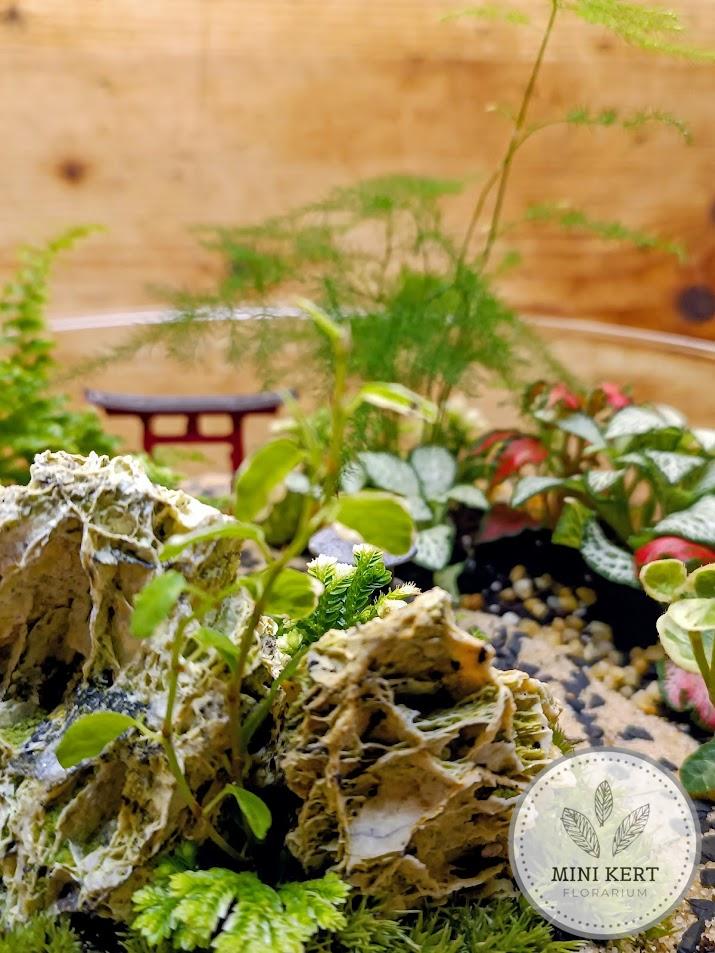 Biodome florárium Japánkert sziklák