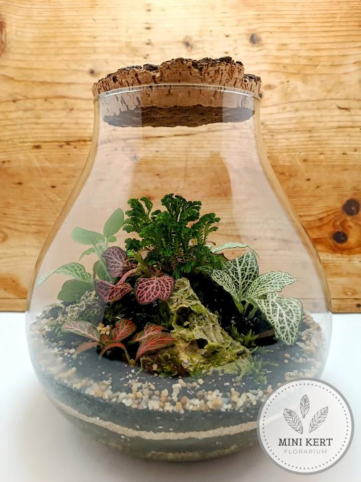 Csepp formájú florárium rusztikus tetővel