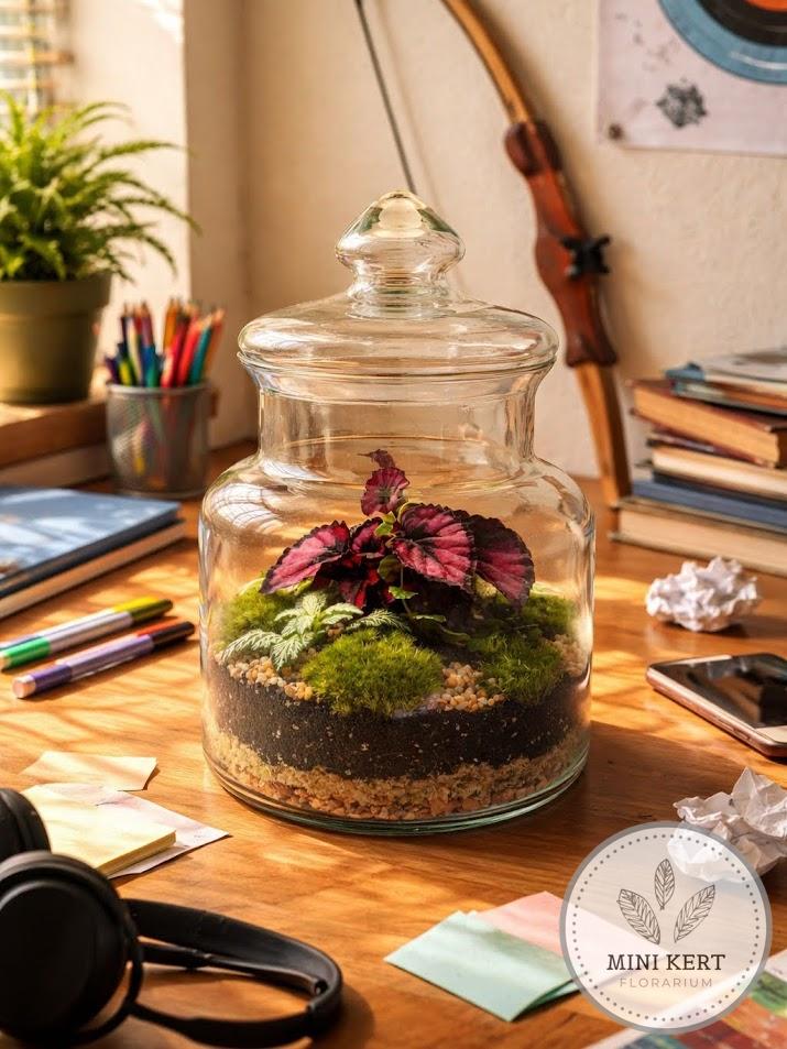 Florárium cukorkás üvegben gyerek íróasztalán