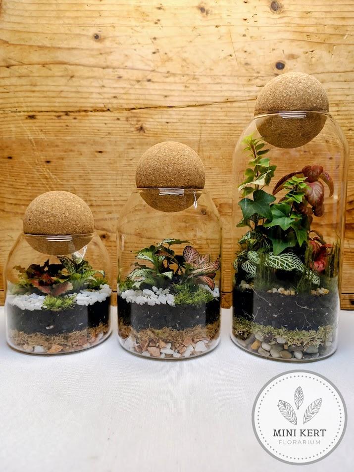 Gömb dugós floráriumok