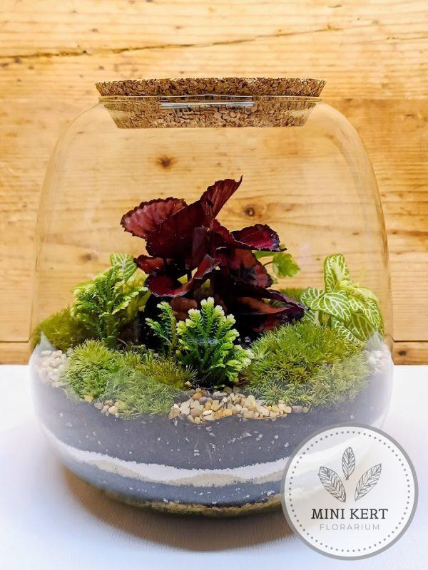 Gömbölyített formájú florárium
