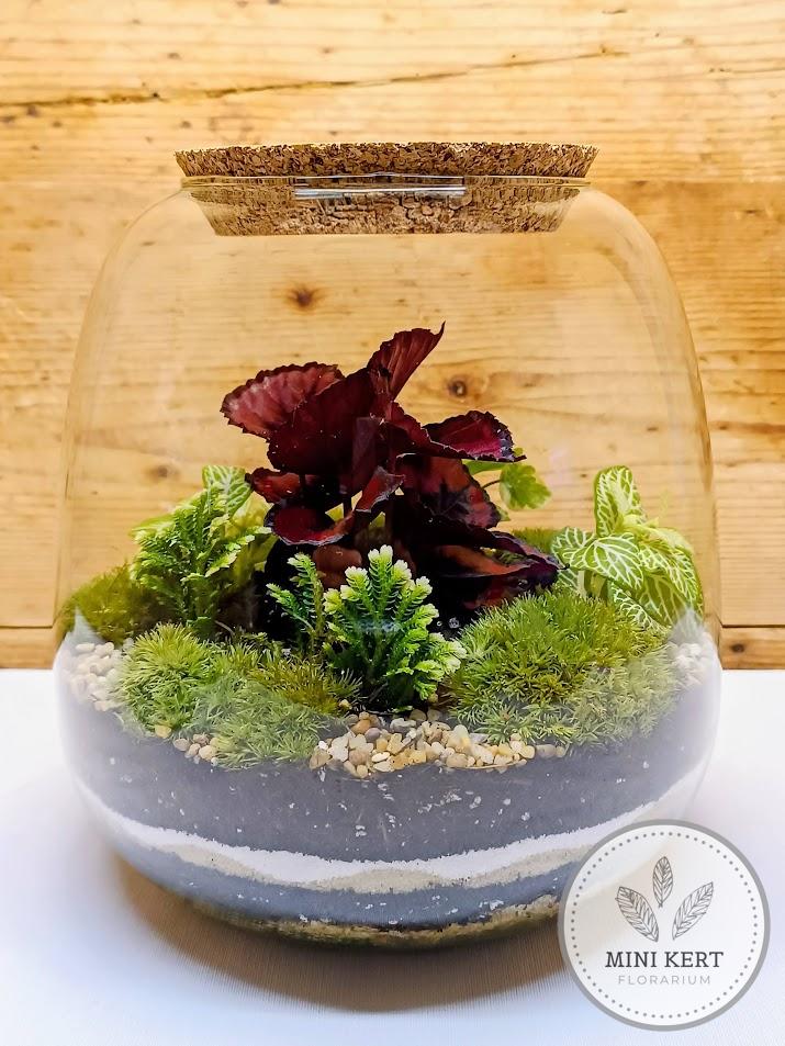 Gömbölyített formájú florárium