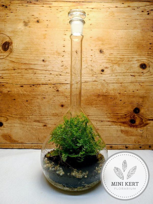 Lombik florárium hosszúnyakú