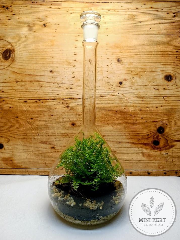 Lombik florárium hosszúnyakú