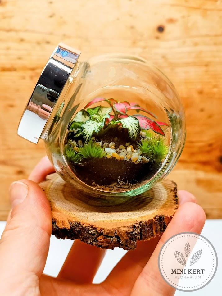 Mini döntött florárium fakorongon