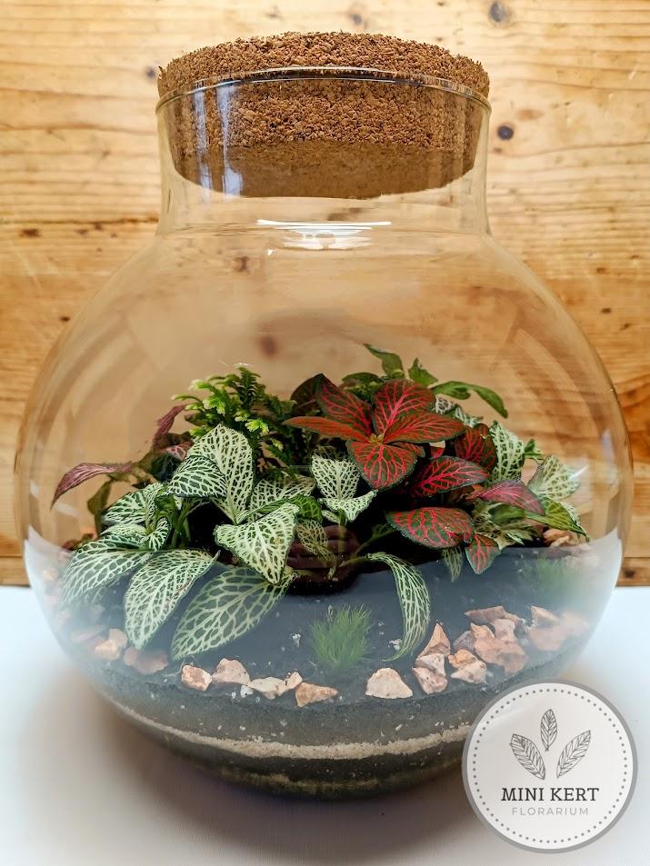 Nyakas üveggömb florárium